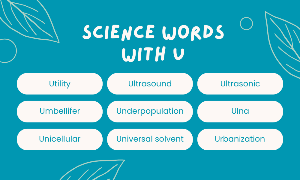 Biology Words That Start With U
