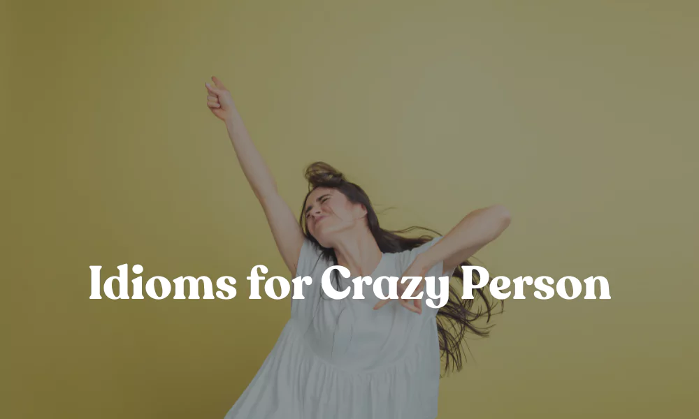 Idioms for Crazy Person