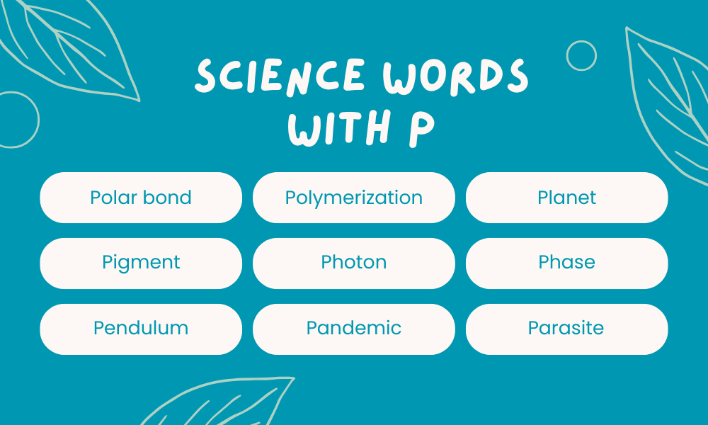 Science Terms That Start With P