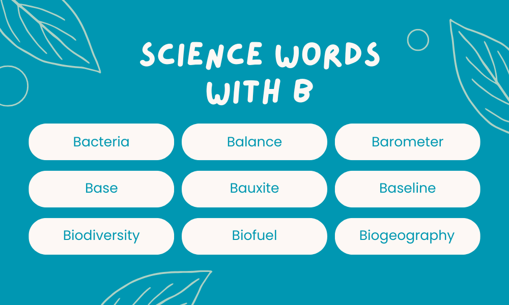 Scientific Words That Start With B