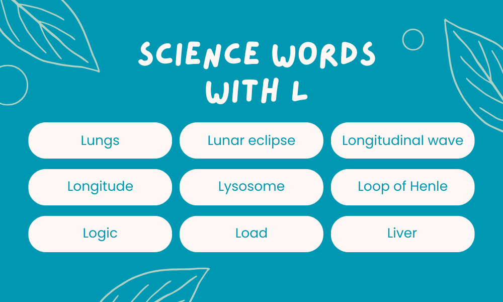 Scientific Words That Start With L
