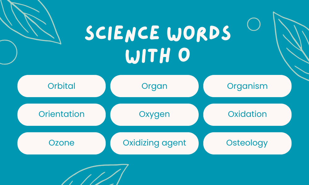 Scientific Words That Start With O