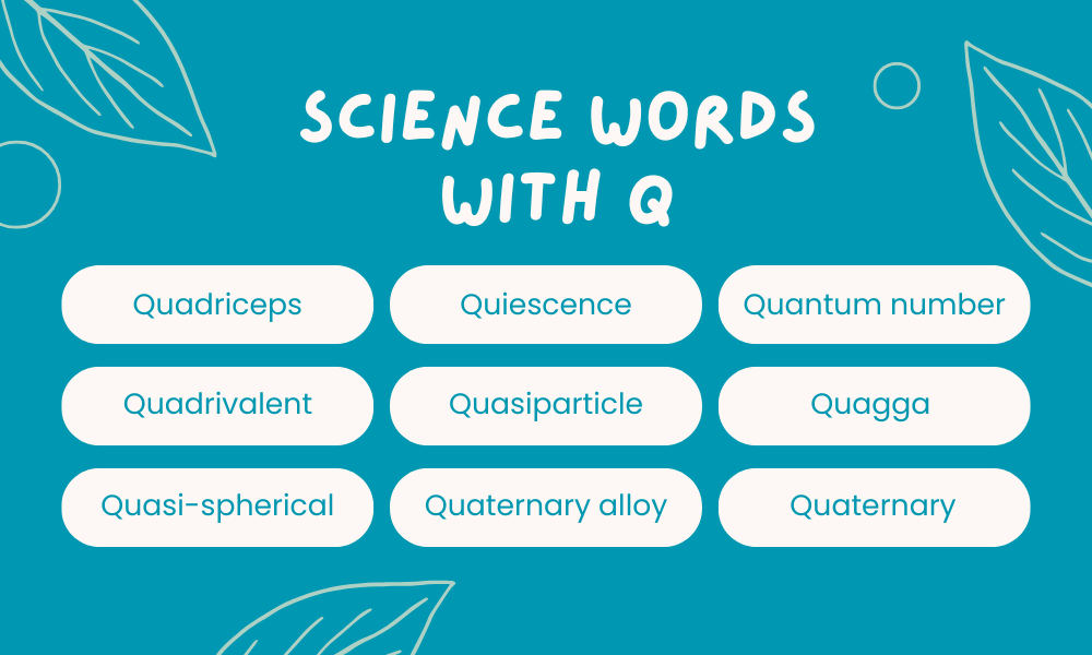 Scientific Words That Start With Q