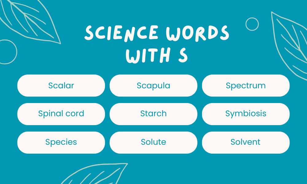 Scientific Words That Start With S