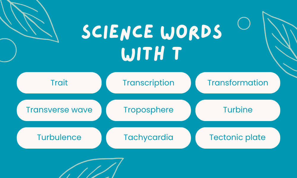 Scientific Words That Start With T
