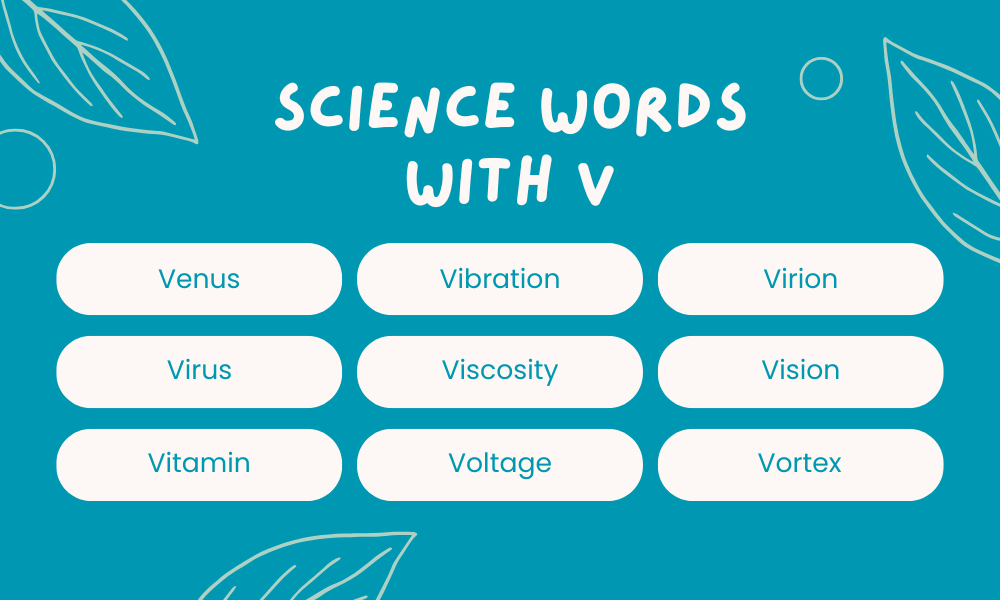 Scientific Words That Start With V