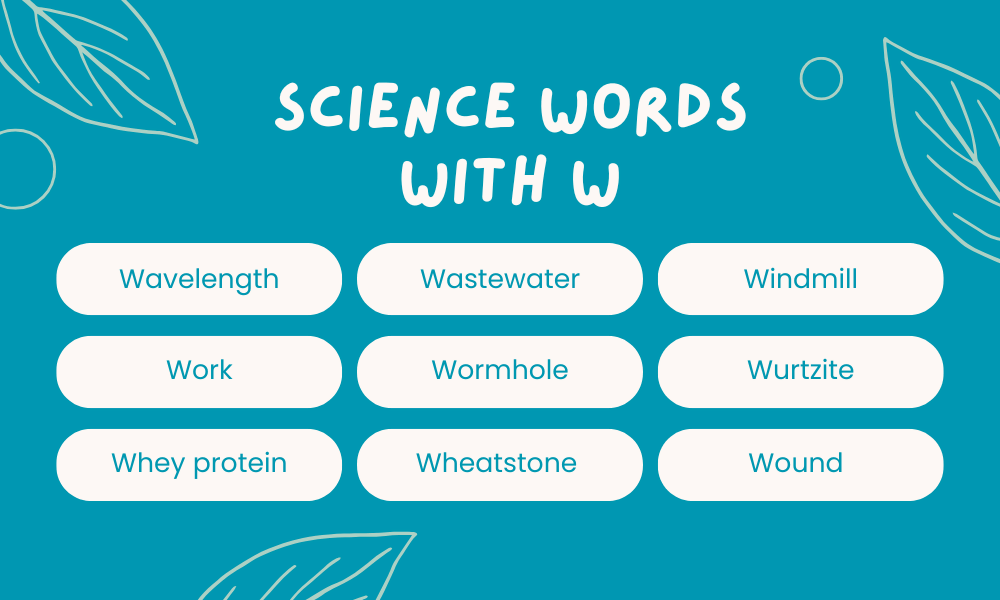 Scientific Words That Start With W