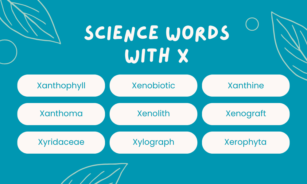 Scientific Words That Start With X