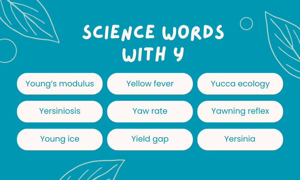 Y Science Words