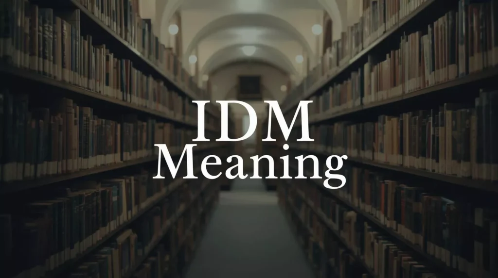 IDM Meaning
