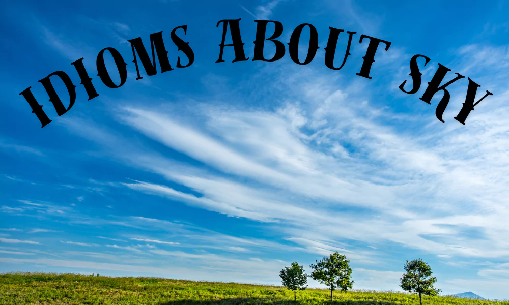 Idioms About Sky