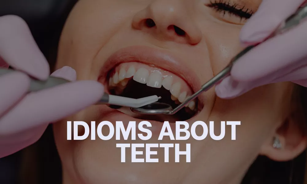 Idioms About Teeth
