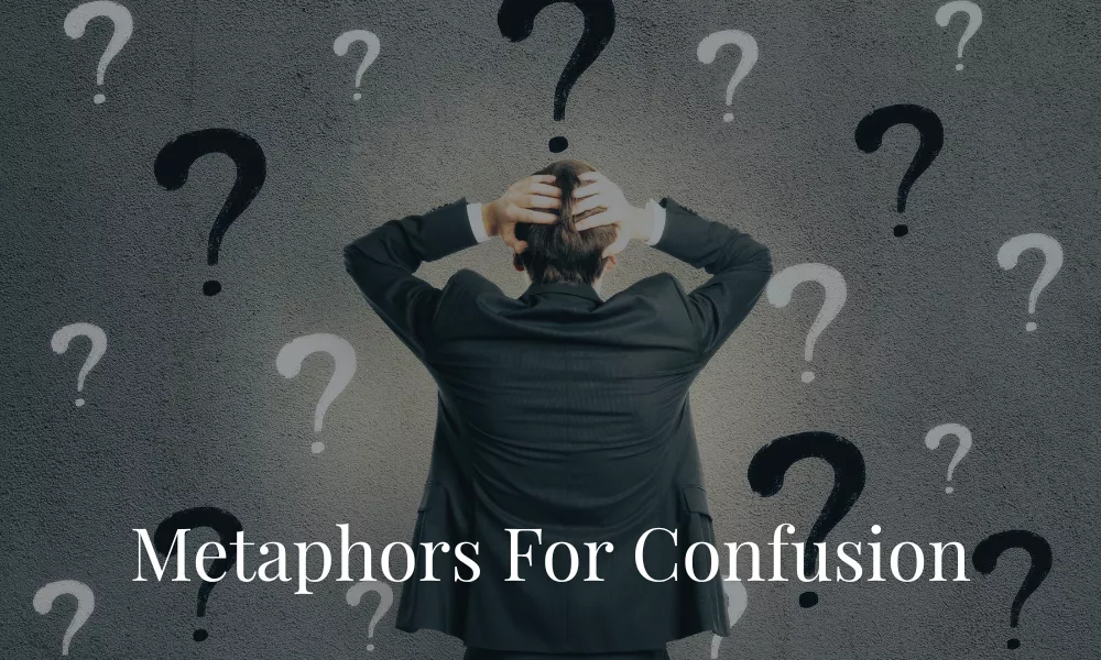 Metaphor For Confused