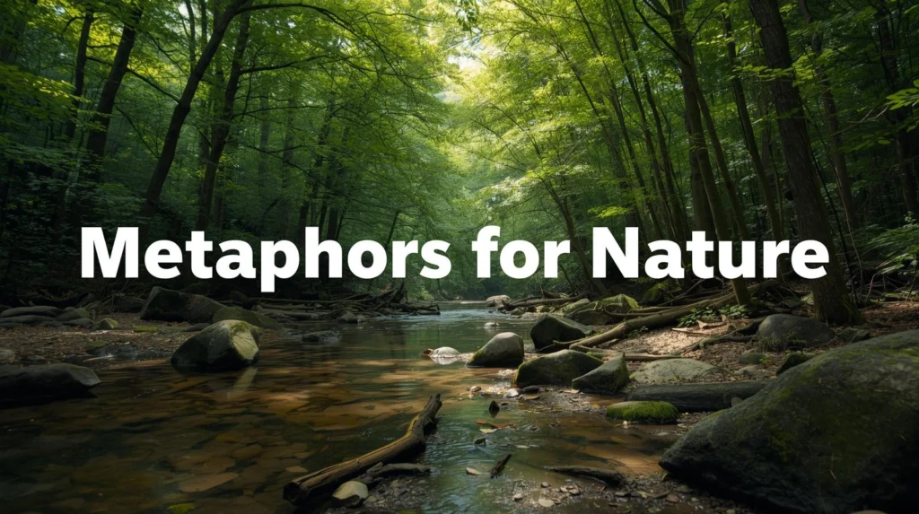 Metaphors About Nature