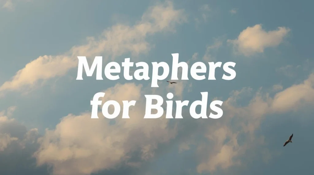 Metaphors For Birds