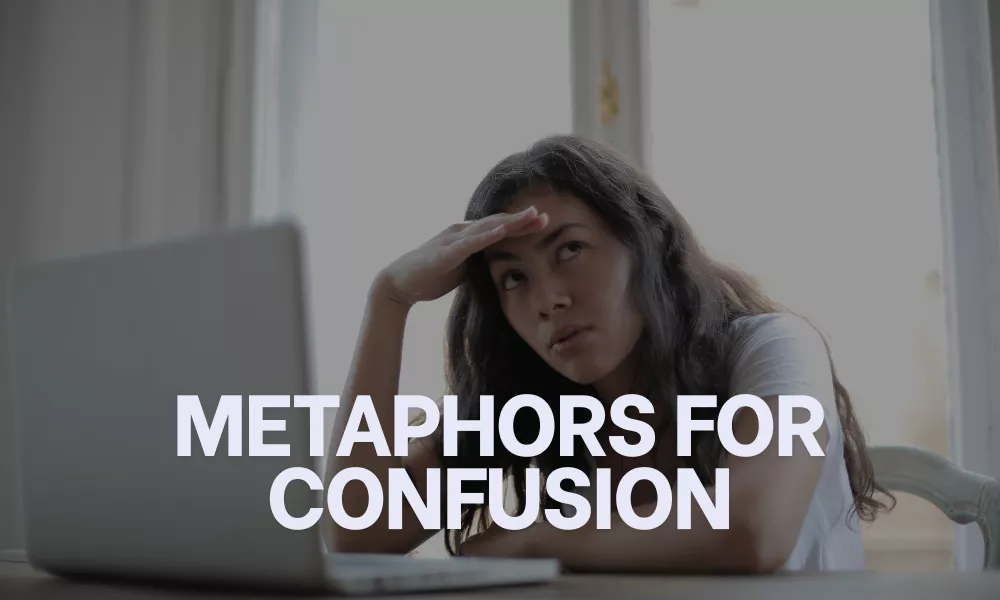 Metaphors For Confusion