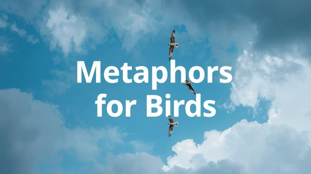 The Birds Feathers Are Metaphor