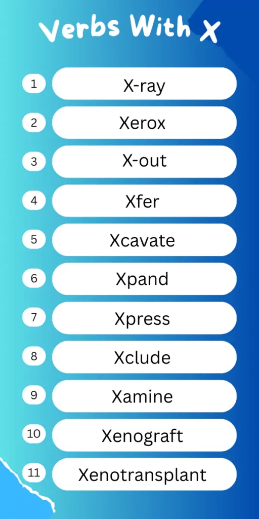 Verbs That Start With X