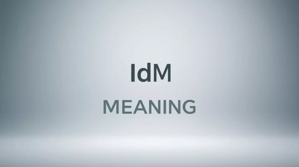 What Does IDM Mean In Text