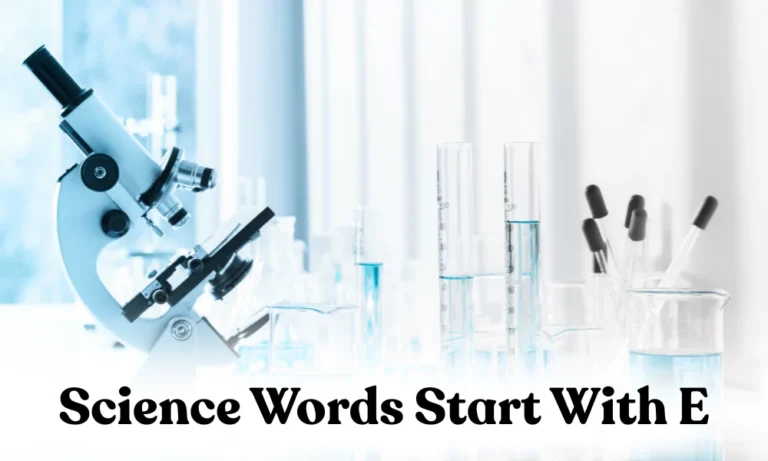 E Science Words