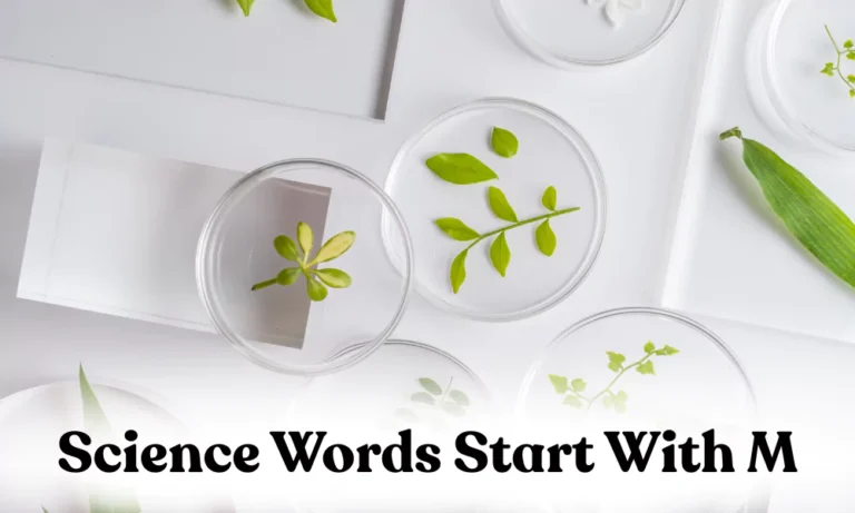 Scientific Words That Start With M