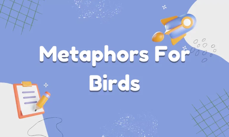 Birds Metaphors