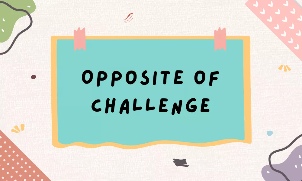 Challenge Opposites
