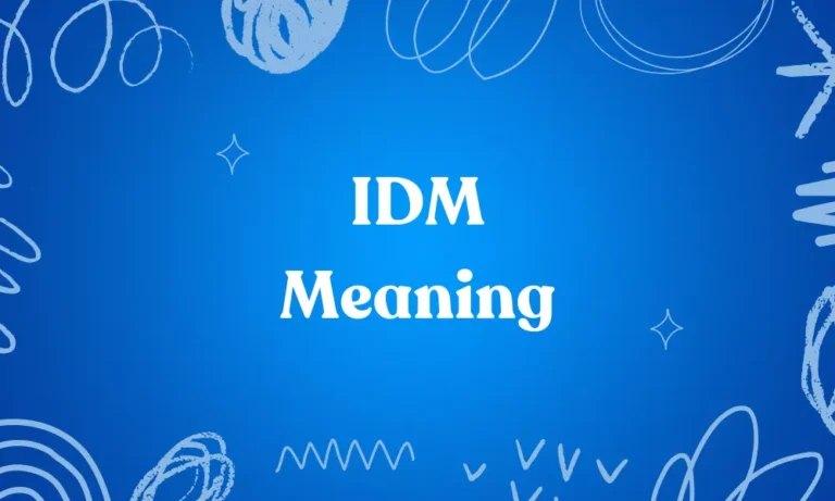 IDM Meaning In Text
