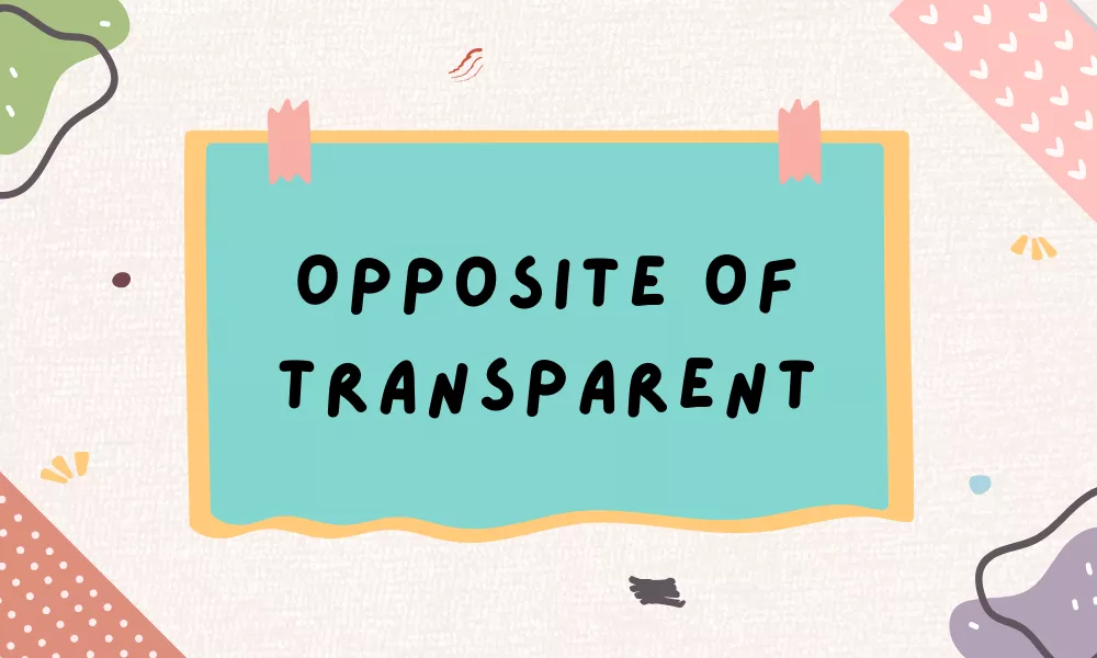 Transparent Opposite