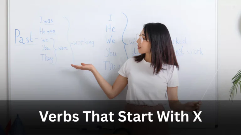 Verbs Starting With X