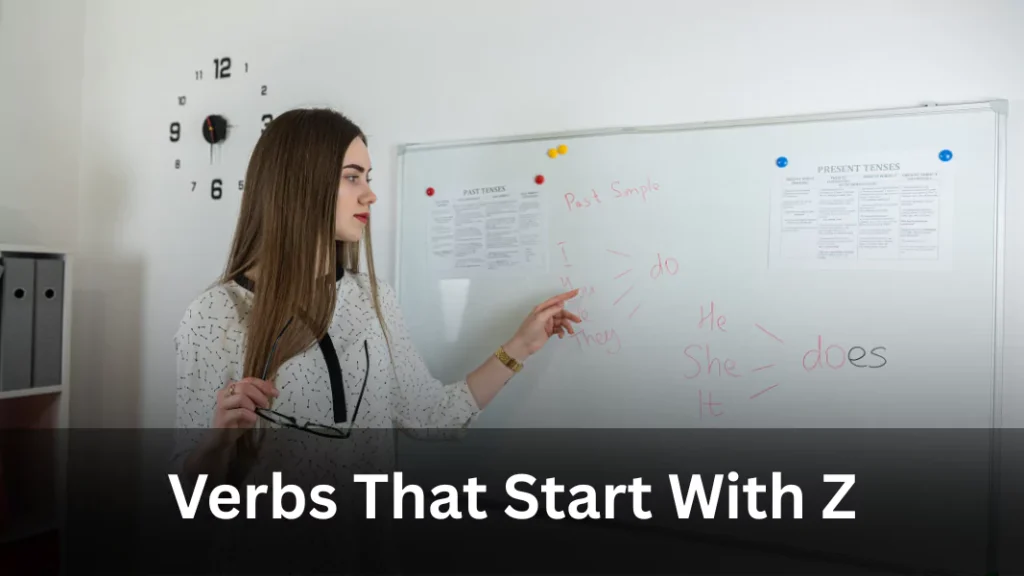 Verbs Starting With Z