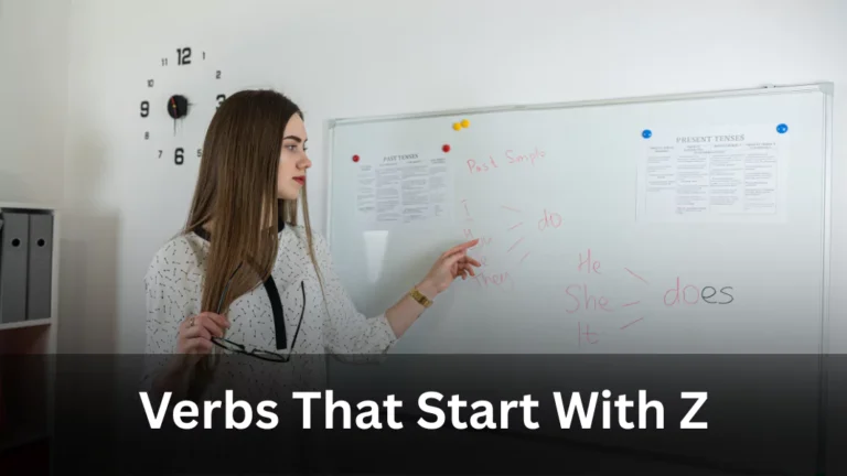 Verbs Starting With Z