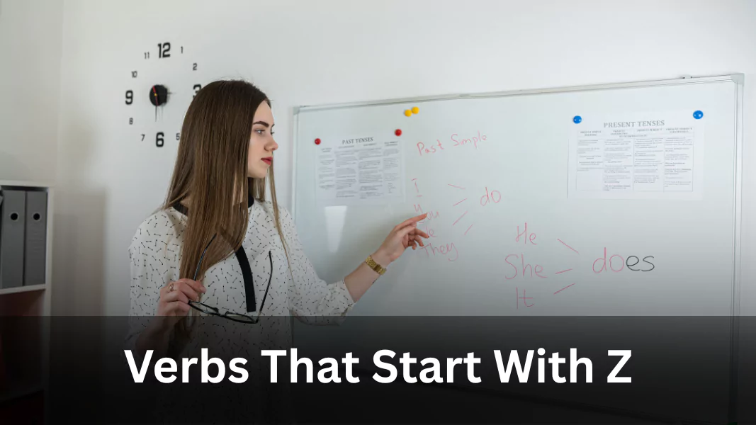Verbs Starting With Z